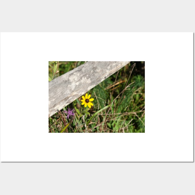 Pastel effect small bright yellow flower in field under rustic wooden fence rail.  imagine this on a  card or as wall art fine art canvas or framed print on your wall Wall Art by brians101